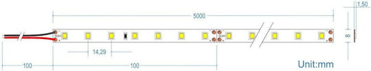 Cubalux 24V LED Strip Warm White Light