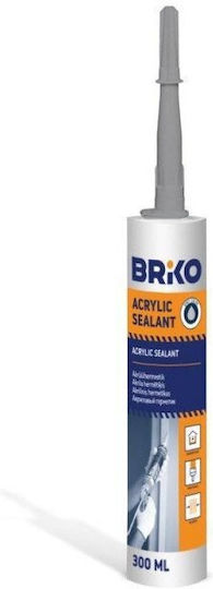 Briko Acrylic Chemical Anchor Sealant