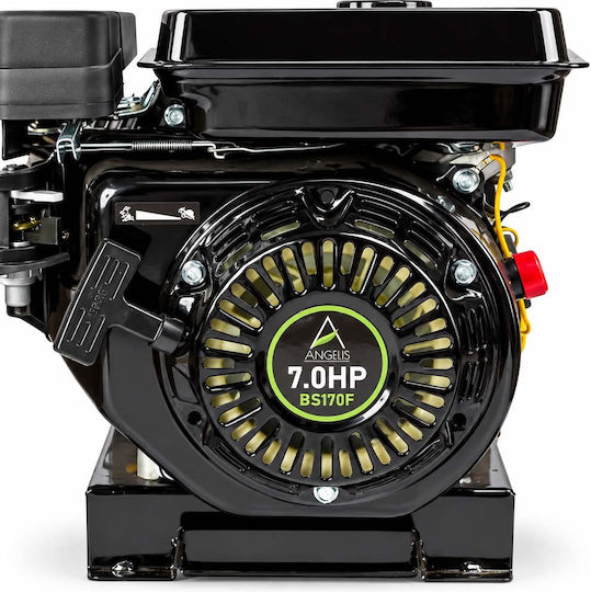 Agelis Stromerzeuger für Olivenrüttler 12–30 V