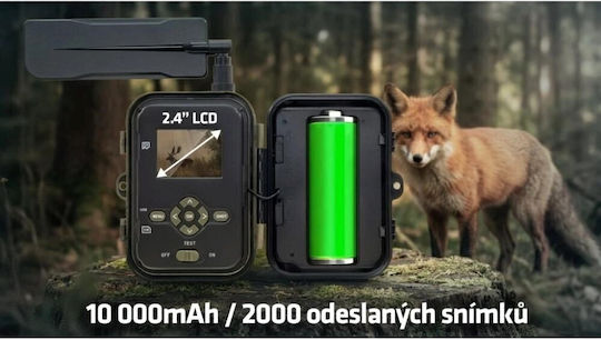 Evolveo Evolveo Strongvision Cameră de Vânătoare cu Detectarea Mișcării