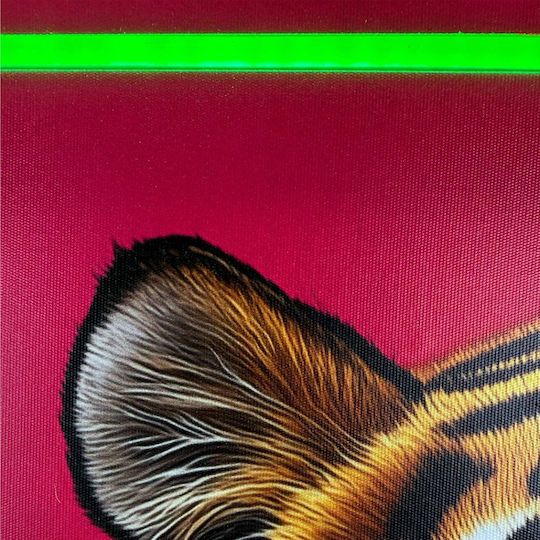 "Tiger Portrait" Painting with Neon LED Lighting 70x100 cm