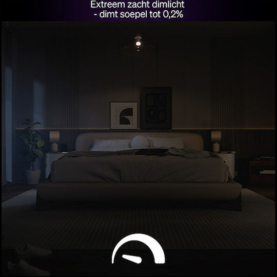 Philips Smart Lampe LED für Fassung E27 Einstellbar Weiß 1600lm