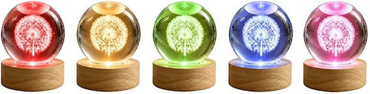Winkee Crystal Ball Lamp Winkee Crystal Ball Lamp