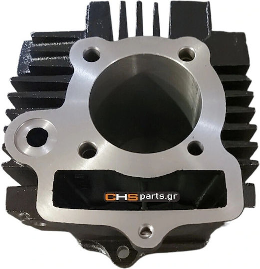 Κυλινδρος C100 Astrea 53mm.σιδερενιος Wstantard