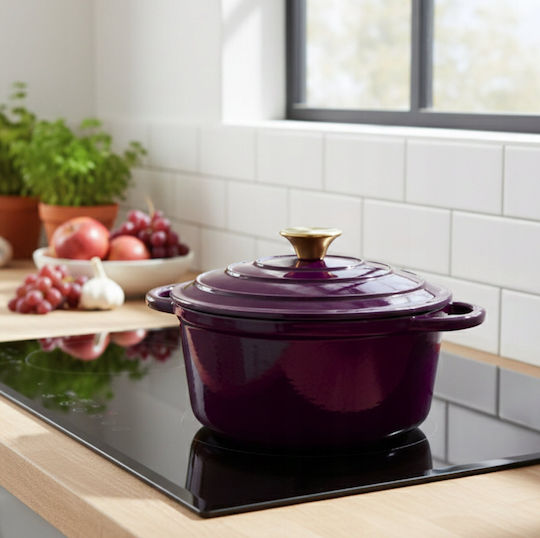 Hage Round Cast Iron Dutch Oven 26cm 5lt
