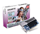 Gigabyte Radeon HD4550 512MB