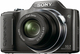 Sony DSC-H20