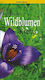 Die schönsten wildblumen Kretas