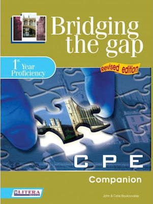 Bridging The Gap, Companion 1