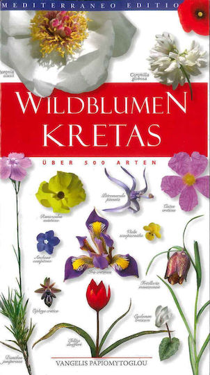 Wildblumen Kretas