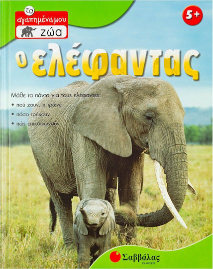 Ο ελέφαντας, Μάθε τα πάντα για τους ελέφαντες: Πού ζουν, τι τρώνε, πόσο τρέχουν, πώς επικοινωνούν