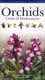 Orchids, Kreta und Dodekanes: Die Orchideenflora der Inseln Kreta, Kasos, Karpathos und Rhodos