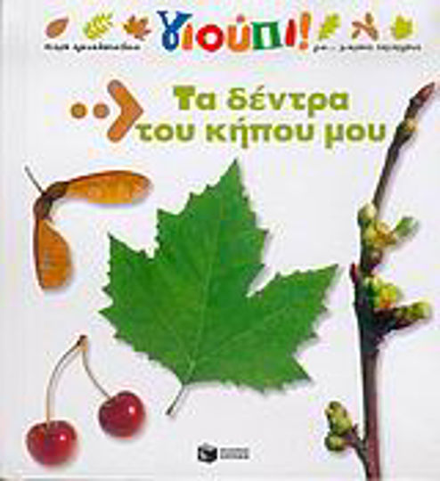 Copacii din grădina mea