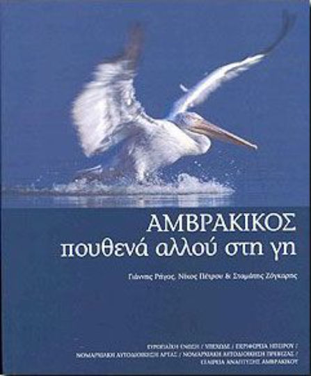 Αμβρακικός Αμβρακικός