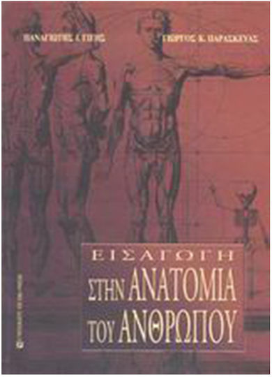 Εισαγωγή στην ανατομία του ανθρώπου Εισαγωγή στην ανατομία του ανθρώπου