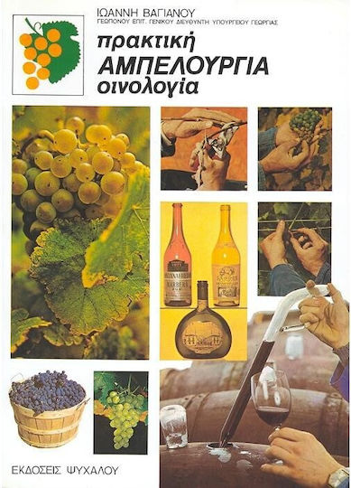 Πρακτική αμπελουργία, Oenology