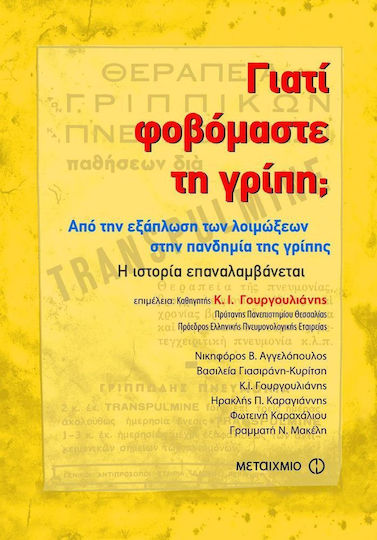 Γιατί φοβόμαστε τη γρίπη;, Από την εξάπλωση των λοιμώξεων στην πανδημία της γρίπης: Η ιστορία επαναλαμβάνεται