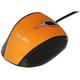 Nilox Cu fir Mini Mouse Portocaliu