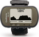 Garmin Foretrex® 401