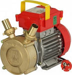 Rover Pompe BE-M 30 CE Single Phase Transfer Pump with 1-1/4" Inlet and 0.9hp Horsepower