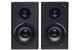 Alesis Active Speaker ()