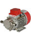 Rover Pompe Transferpumpe mit Düse 3/4" und Leistung 0.6hp 12V