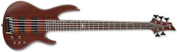 LTD electric bass D-5