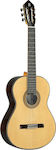 Alhambra 11P Classical Guitar 4/4 Natural