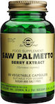 Solgar Saw Palmetto Berry Extract Συμπλήρωμα για την Υγεία του Προστάτη 60 φυτικές κάψουλες