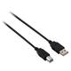 V7 USB 2.0 Cable USB-A male - USB-B male 5m (V7E2USB2AB-05M)