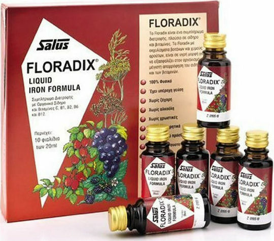 Salus Haus Floradix Liquid Iron Formula Κατάλληλο για Παιδιά με Βιταμίνη C 200ml