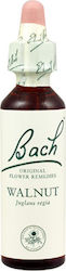 Bach Walnut Blütenessenzen 20ml Bach Walnut Blütenessenzen 20ml