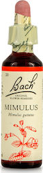 Bach Mimulus Flower Essence in Drops for Relaxation 20ml