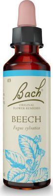 Bach Beech Ανθοΐαμα σε Σταγόνες 20ml