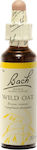 Bach Wild Oat Flower Essence in Drops 20ml