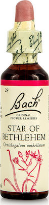 Bach Star of Bethleem Ανθοΐαμα σε Σταγόνες για Χαλάρωση 20ml