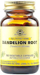 Solgar Dandelion Root 100 veg. caps