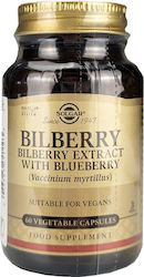 Solgar Bilberry Berry Extract 60 φυτικές κάψουλες Solgar Bilberry Berry Extract 60 φυτικές κάψουλες