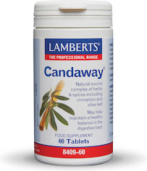 Lamberts Candaway Lamberts Candaway