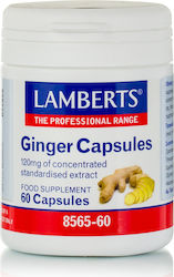 Lamberts Ginger 120mg 60 κάψουλες Lamberts Ginger 120mg 60 κάψουλες