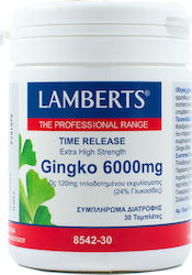 Lamberts Ginkgo Biloba 6000mg 30 ταμπλέτες