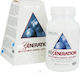 Nature's Plus Regeneration Multivitamin for Energy 90 Softgels
