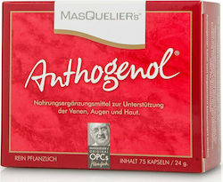 Masqueliers Συμπλήρωμα Διατροφής Alpha Lipoic Acid 75 Κάψουλες Masqueliers Συμπλήρωμα Διατροφής Alpha Lipoic Acid 75 Κάψουλες