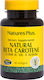 Nature's Plus Natural Beta Carotene Vitamin for Hair Skin and Antioxidant Action 25000 IU 90 Softgels