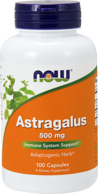 Now Foods Astragalus 100 caps