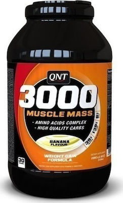 QNT 3000 Muscle Mass Πρωτεΐνη Ορού Γάλακτος με Γεύση Μπανάνα 1.3kg