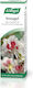 A.Vogel (Venagel) Aesculaforce E-Commerce-Website für Besenreiser 100ml