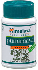 Himalaya Wellness Punarnava 60 tabs | Skroutz.gr