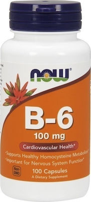 Now Foods B-6 Vitamin 100mg 100 Mützen