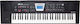 Roland Tastatur BK-3 mit 61 Dynamisch Tasten Schwarz